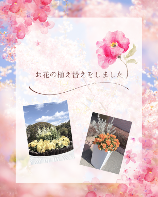 春の装い｜マルサンのホールでお花の植え替えを行いました【足利市の葬儀社】