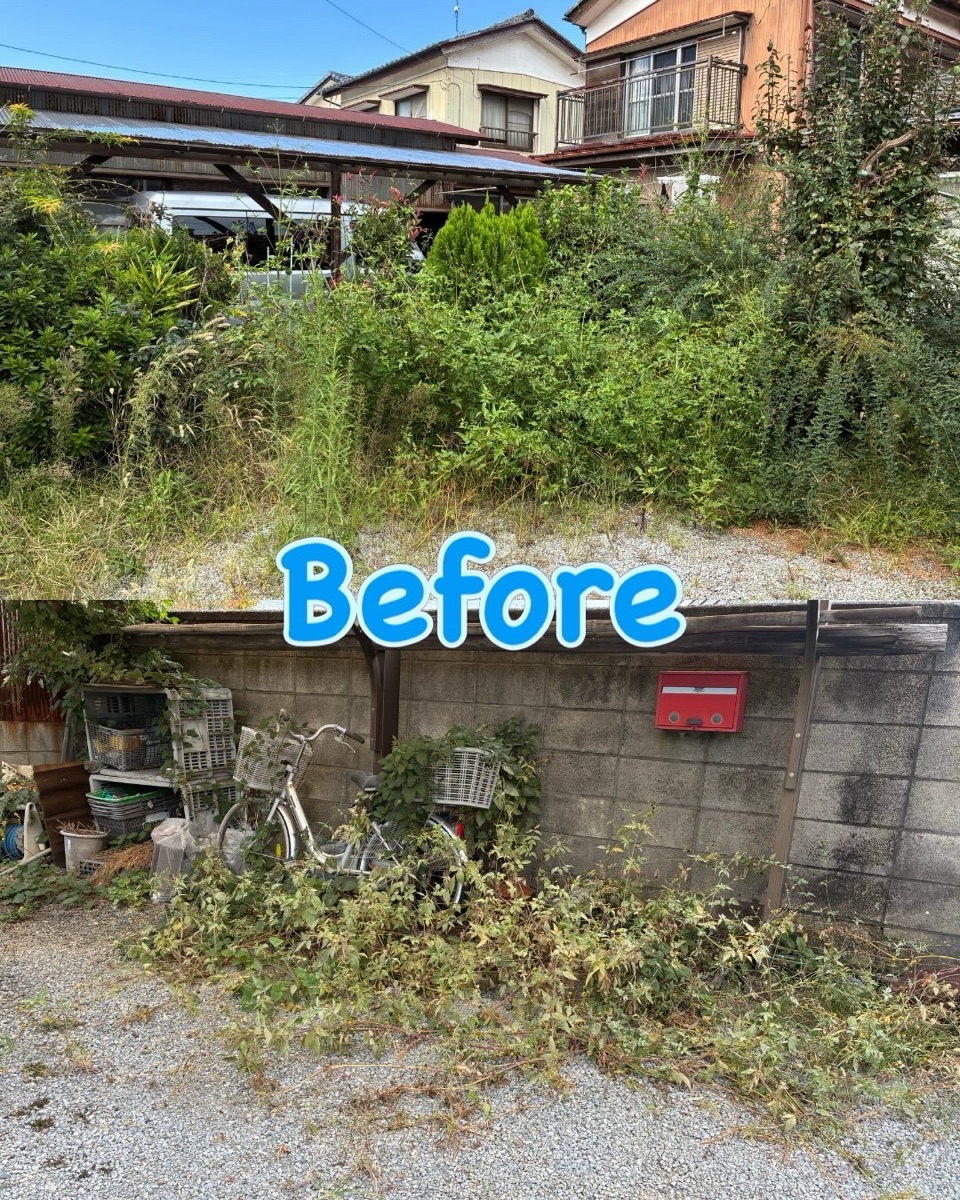 除草作業前のお庭(Before)