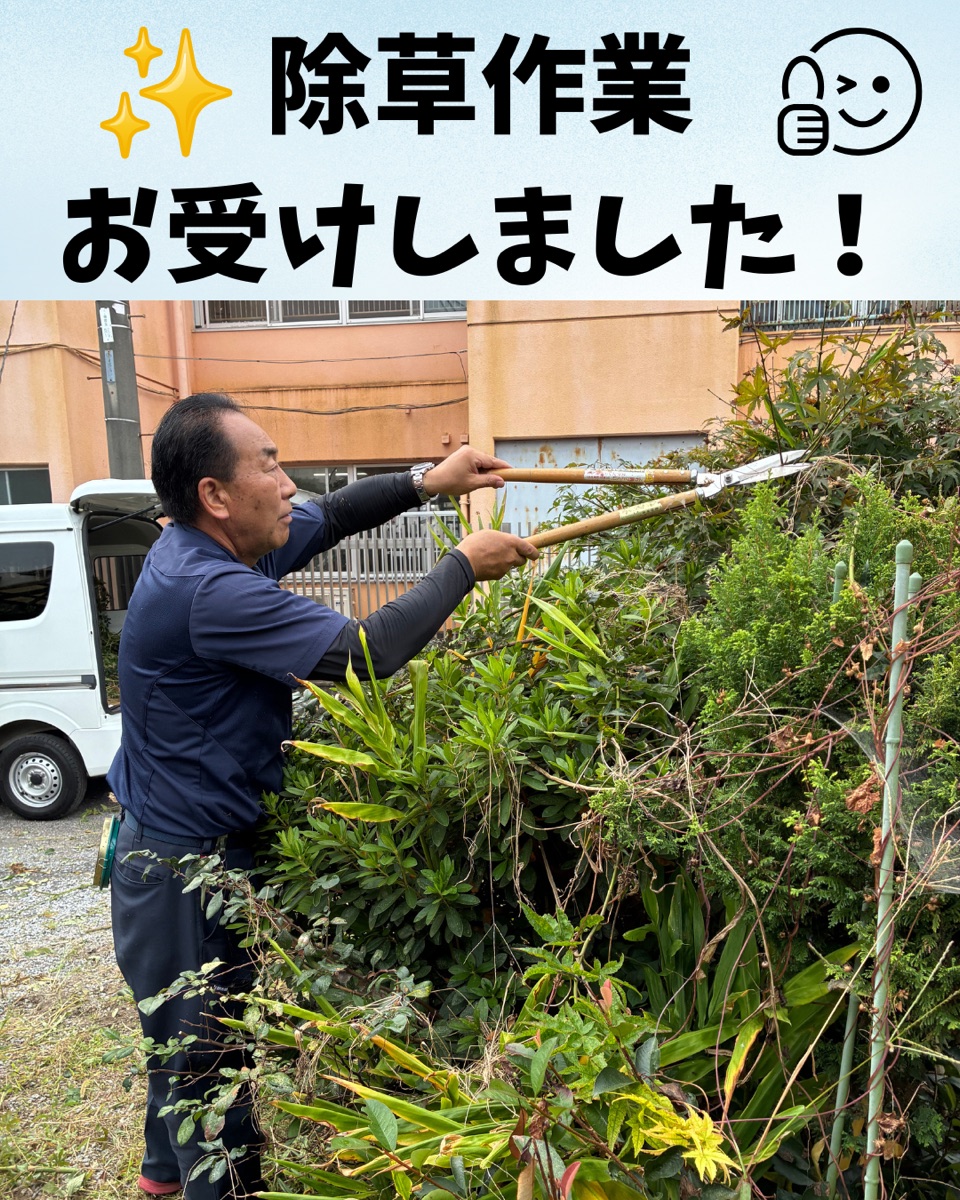 除草作業お受けしました(たすケアの生活支援・足利市)