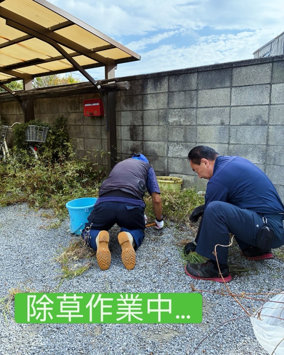 除草作業中のたすケアスタッフ